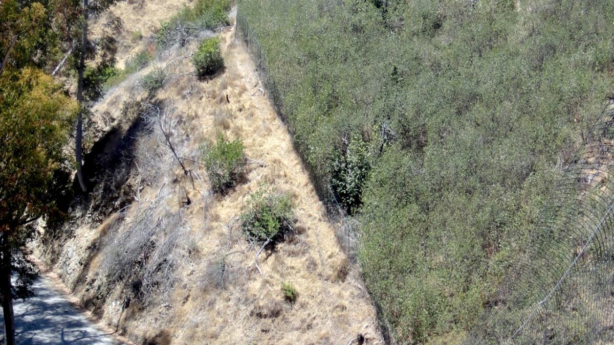 A comparison showing lush vegetation inside a fenced area versus barren land outside where deer can graze.
