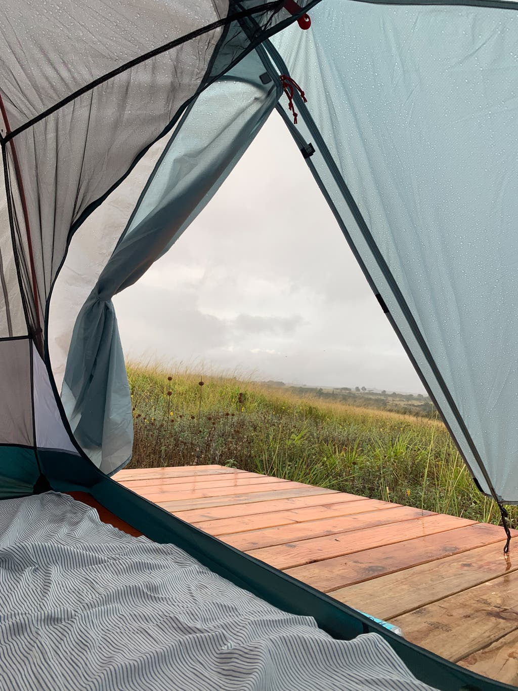 View from the interior of a camping tent looking out through the mesh door at a green field.