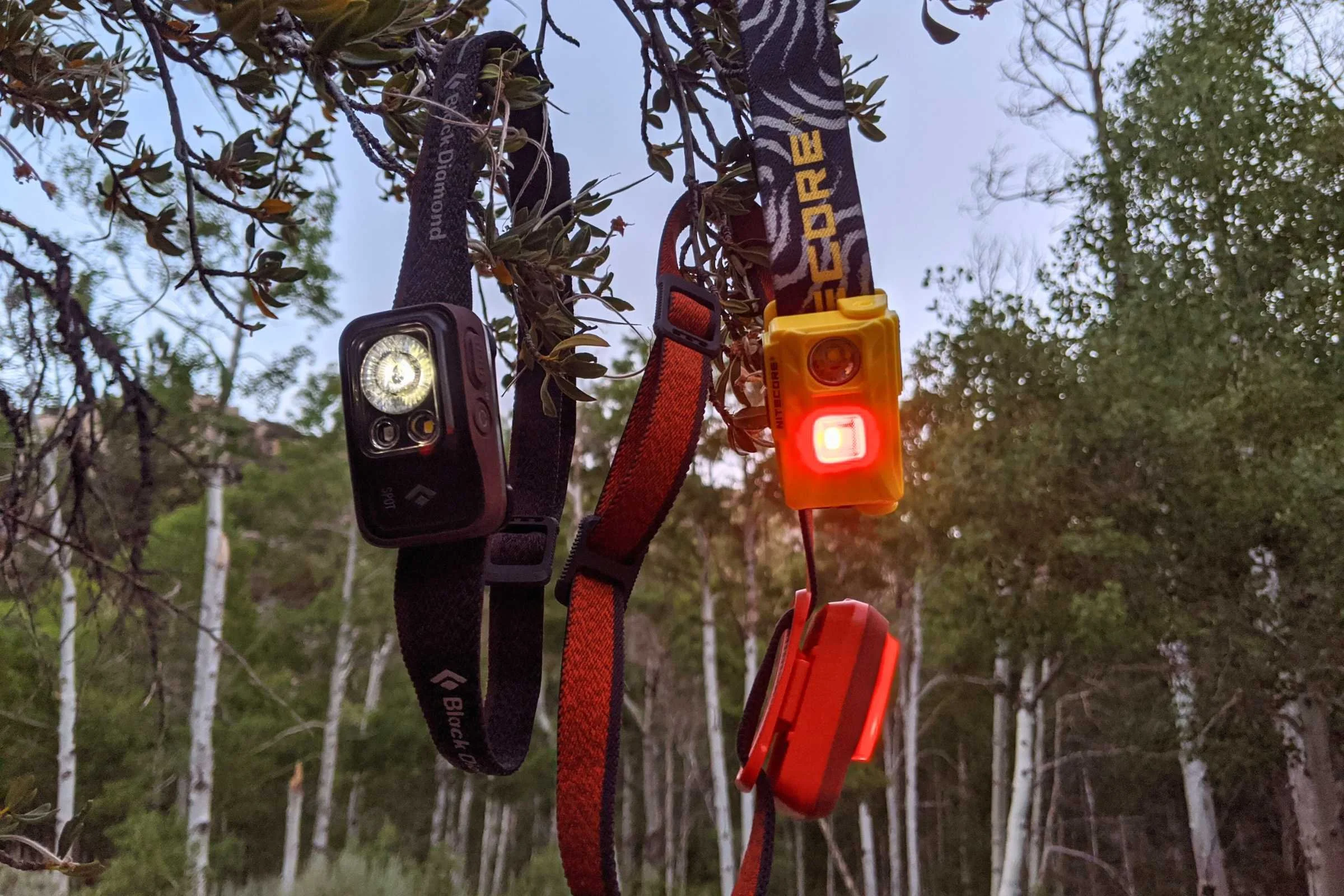 Multiple headlamps, including the Black Diamond Spot 400, hanging from a tree branch.