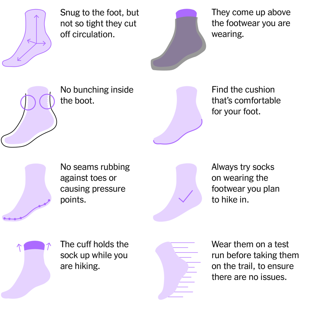 Illustration describing proper hiking sock fit features including arch support and heel cup