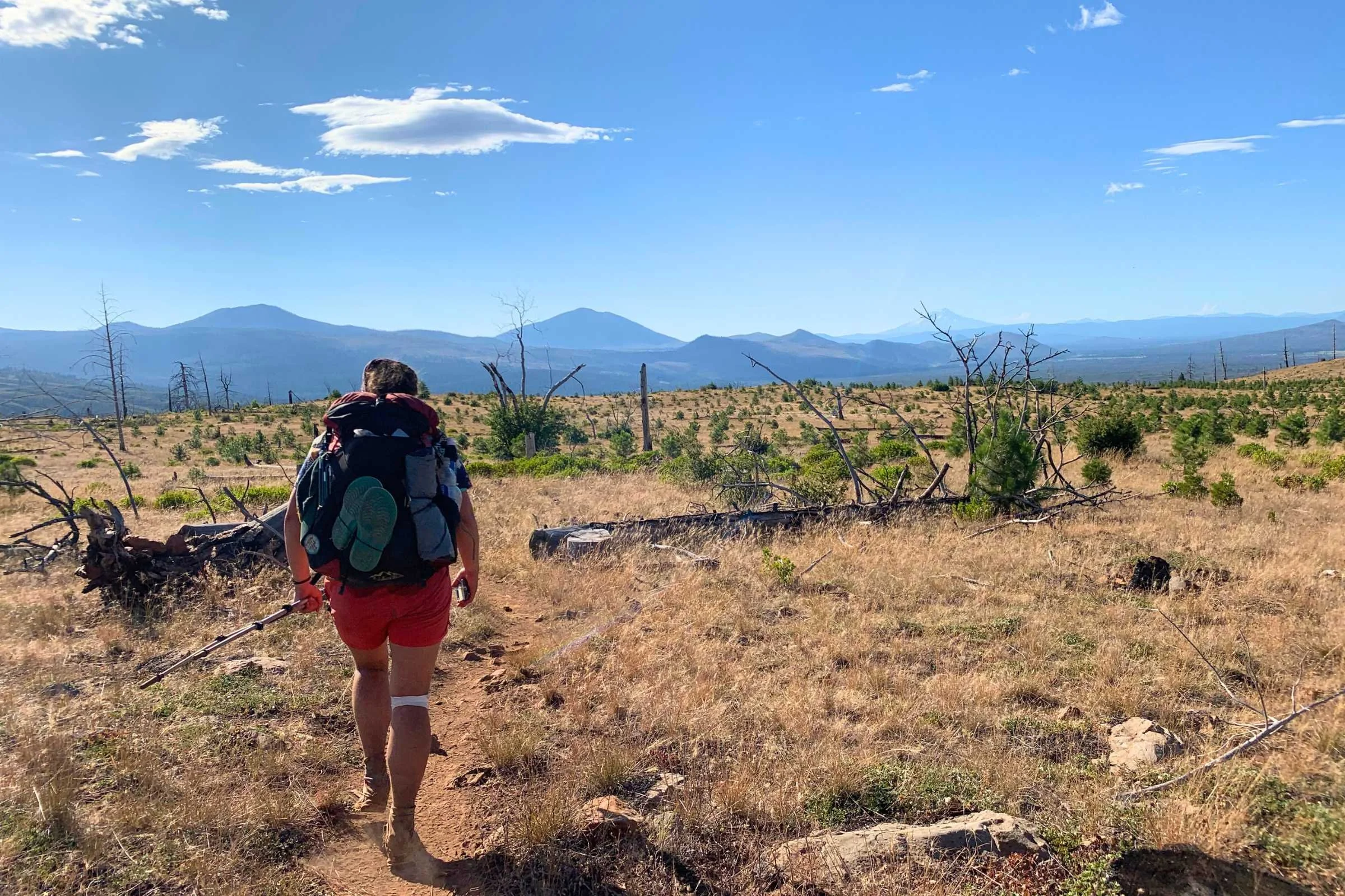 Hiker Rebecca Baumher walking through a burnt forest landscape wearing blue Patagonia Baggies.
