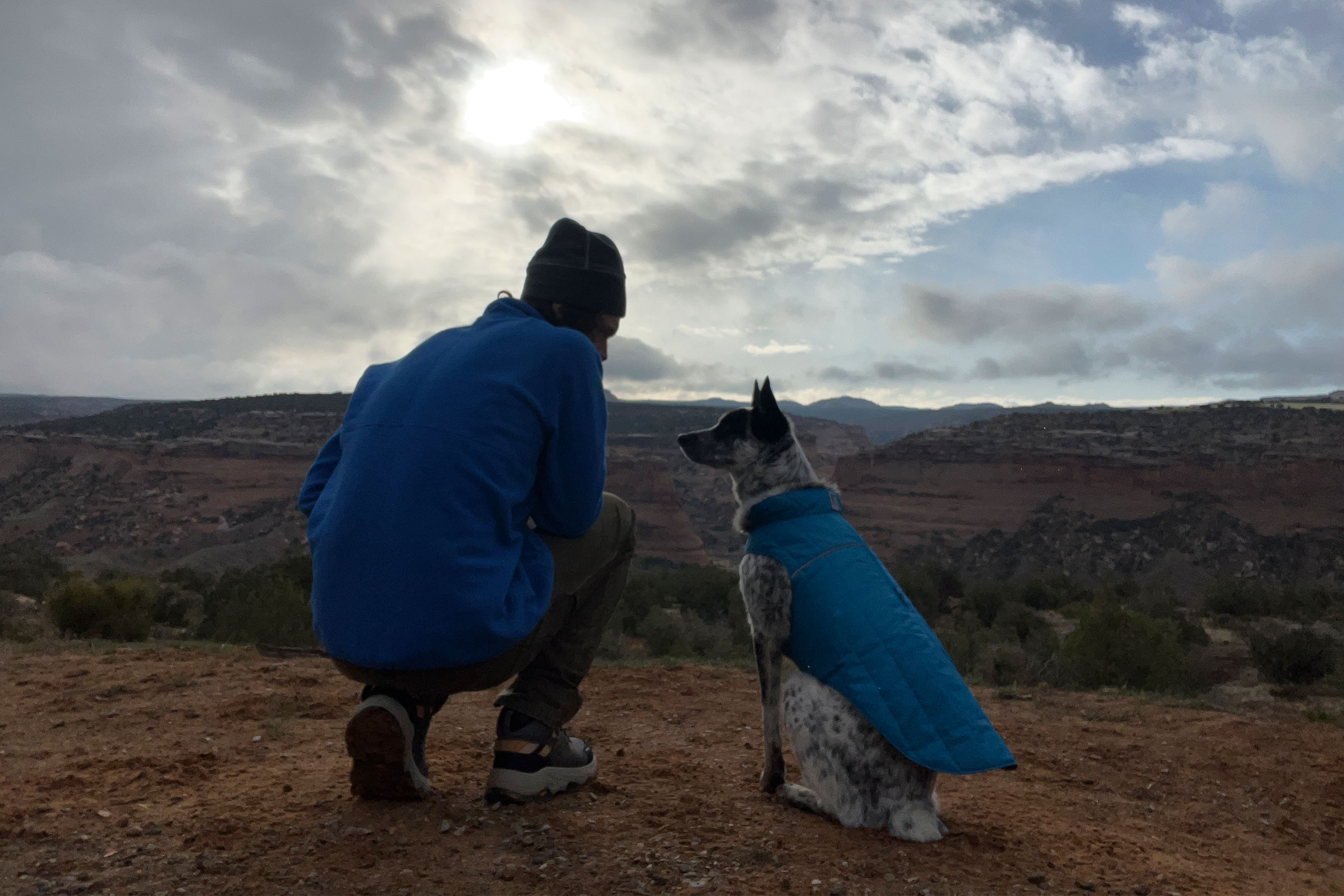 A person standing in the woods wearing the REI Trailmade Fleece