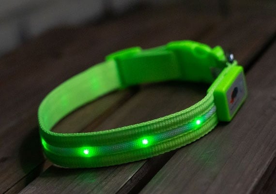 Close-up of a bright green Blazin' Safety LED dog collar showing 360-degree light distribution.