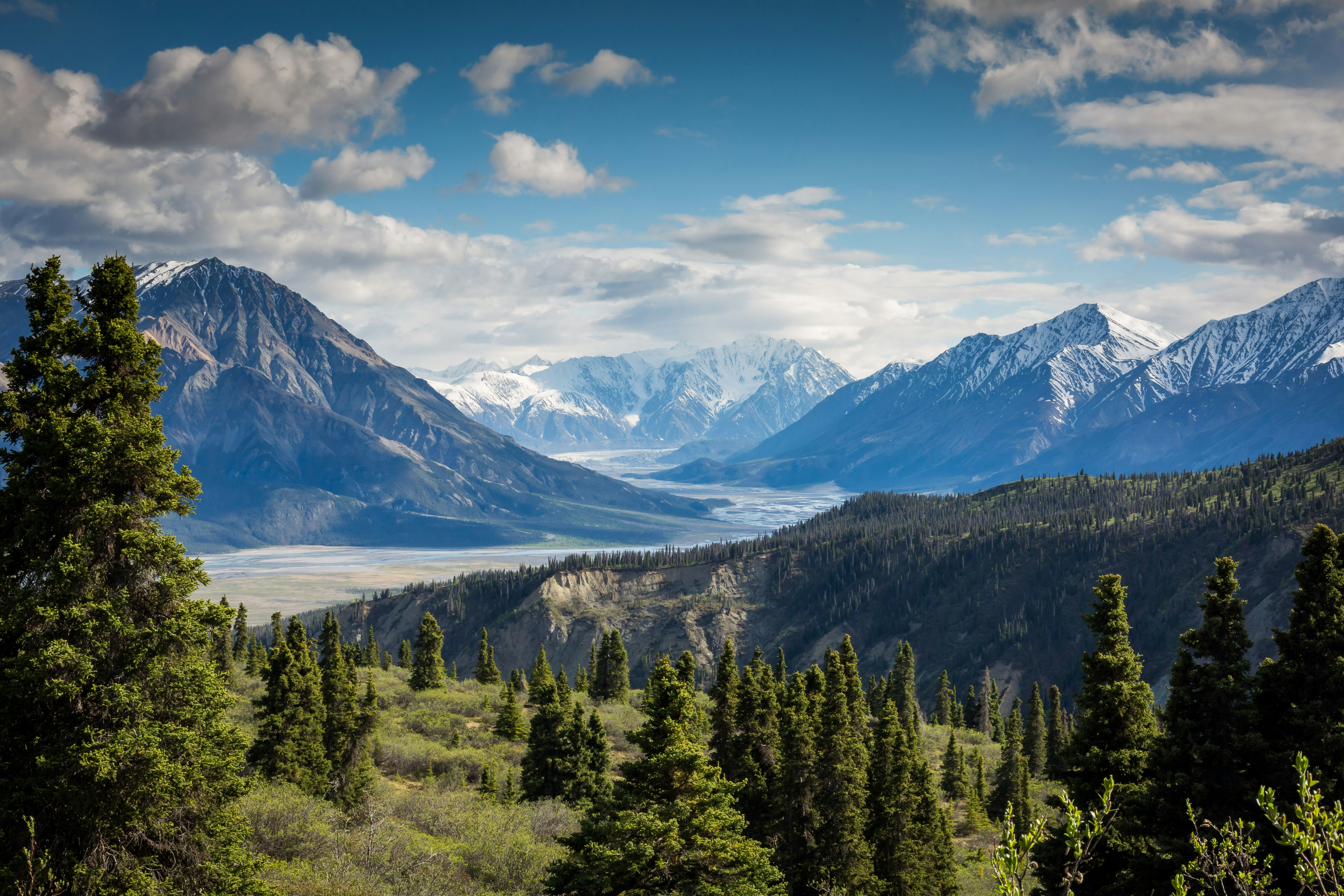 A wide panoramic view of the grassy Tuolumne Meadows surrounded by pine trees and granite domes.