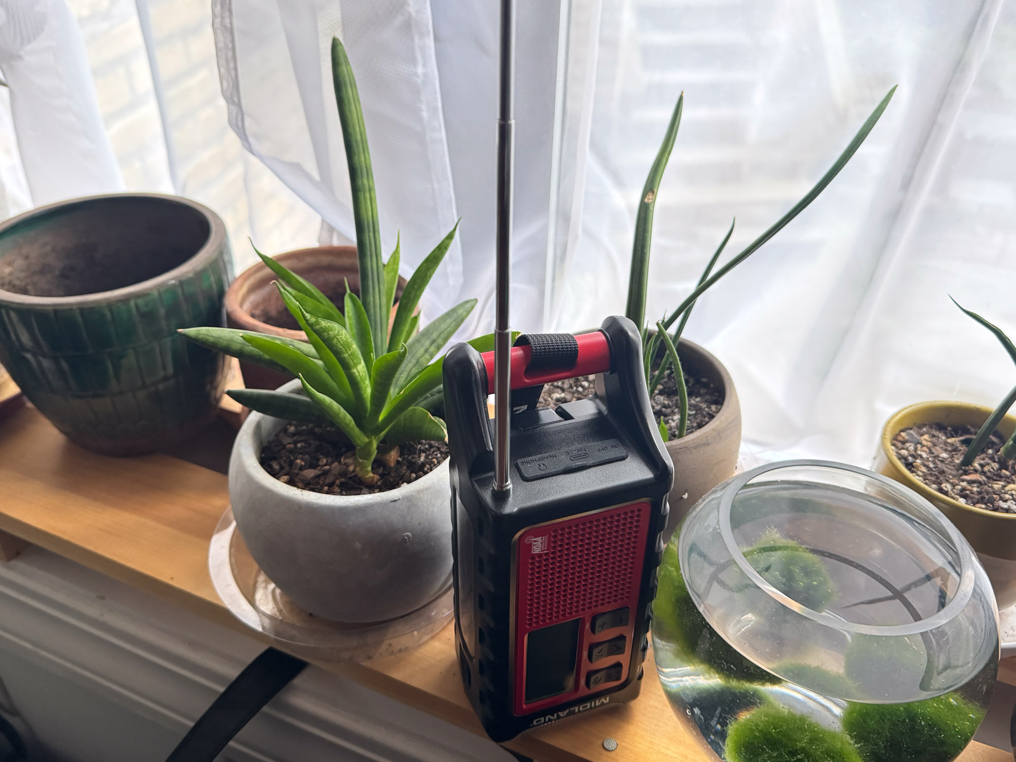 The ER310PRO radio sitting on an indoor shelf next to a potted plant.