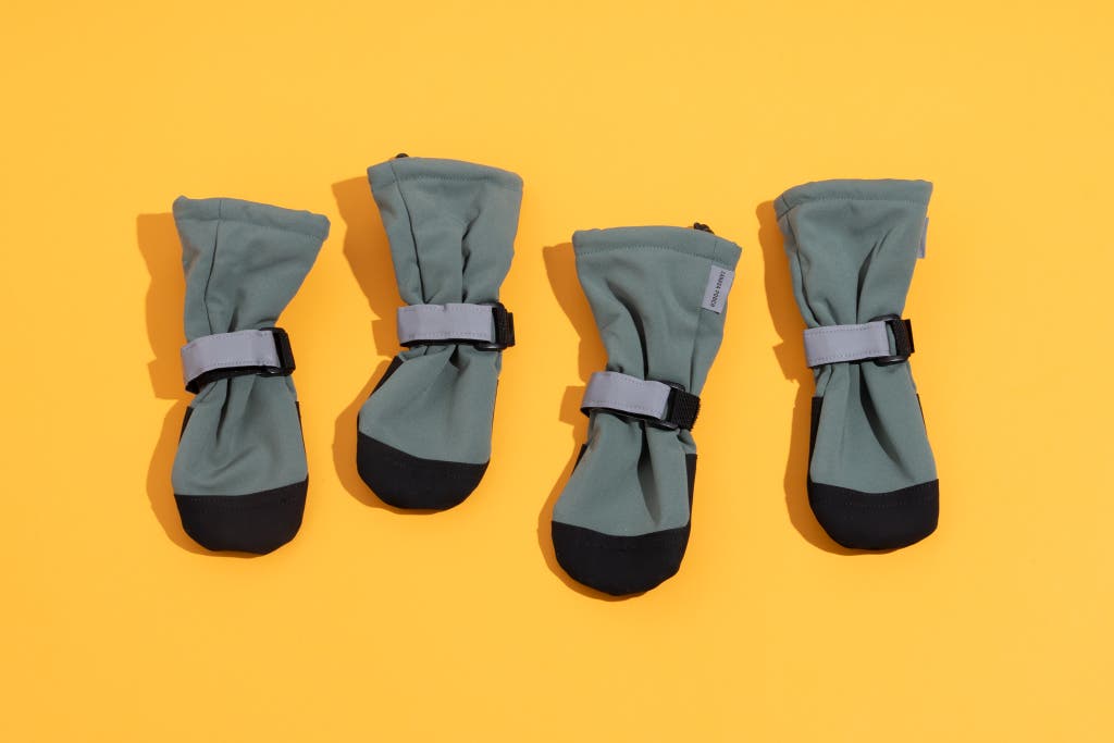 Four black Canada Pooch Soft Shield boots displayed on a yellow background.