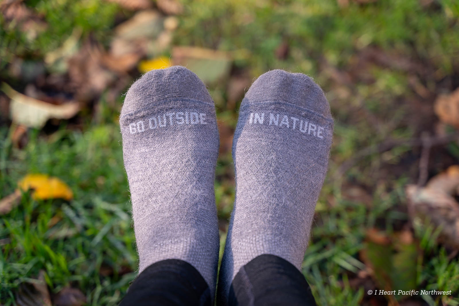 Paka Trail Crew alpaca wool hiking socks