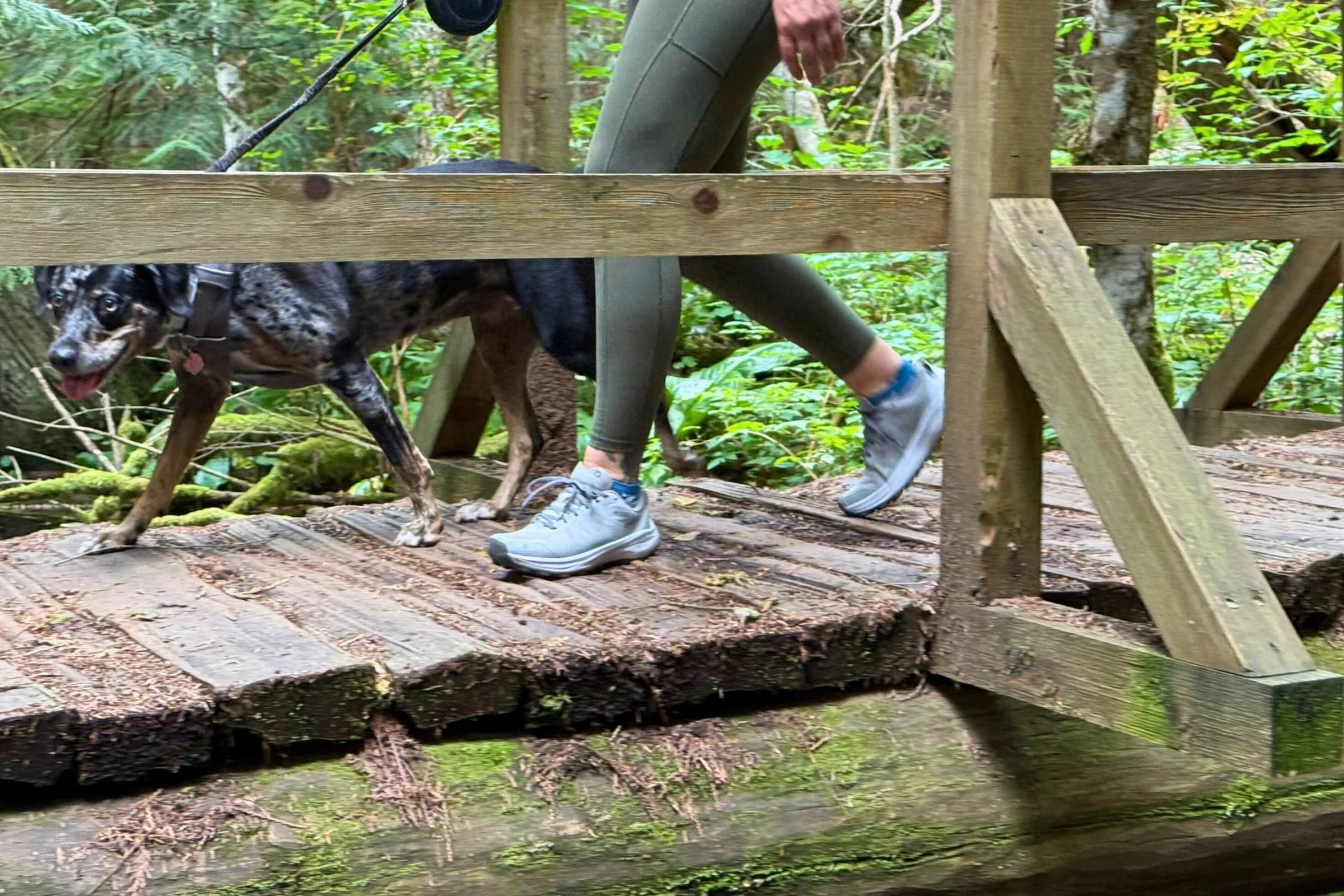 A hiker's foot in a technical shoe stepping onto a wet, mossy wooden bridge.