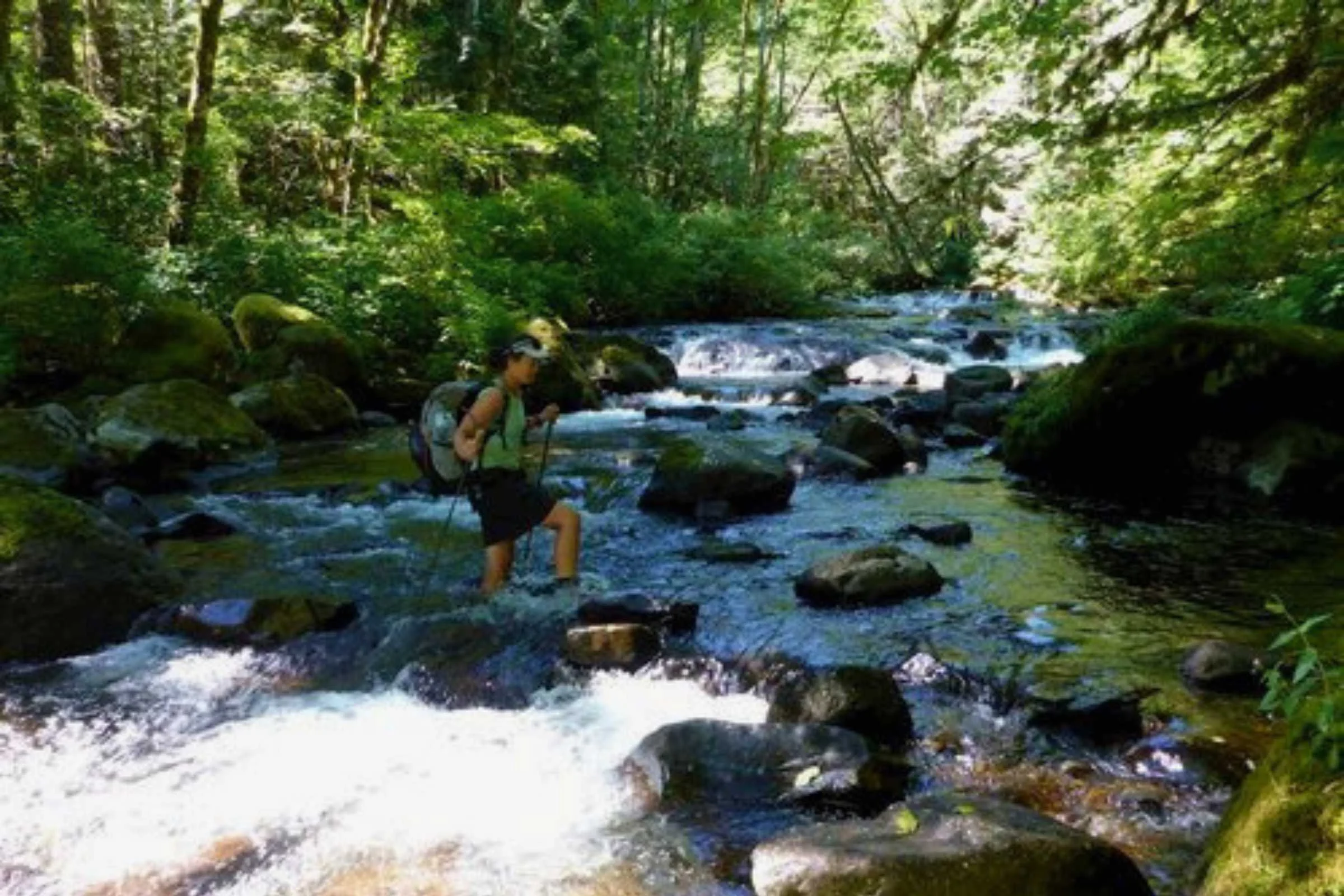 A hiker using trekking poles for balance while crossing a knee-deep, fast-moving creek.