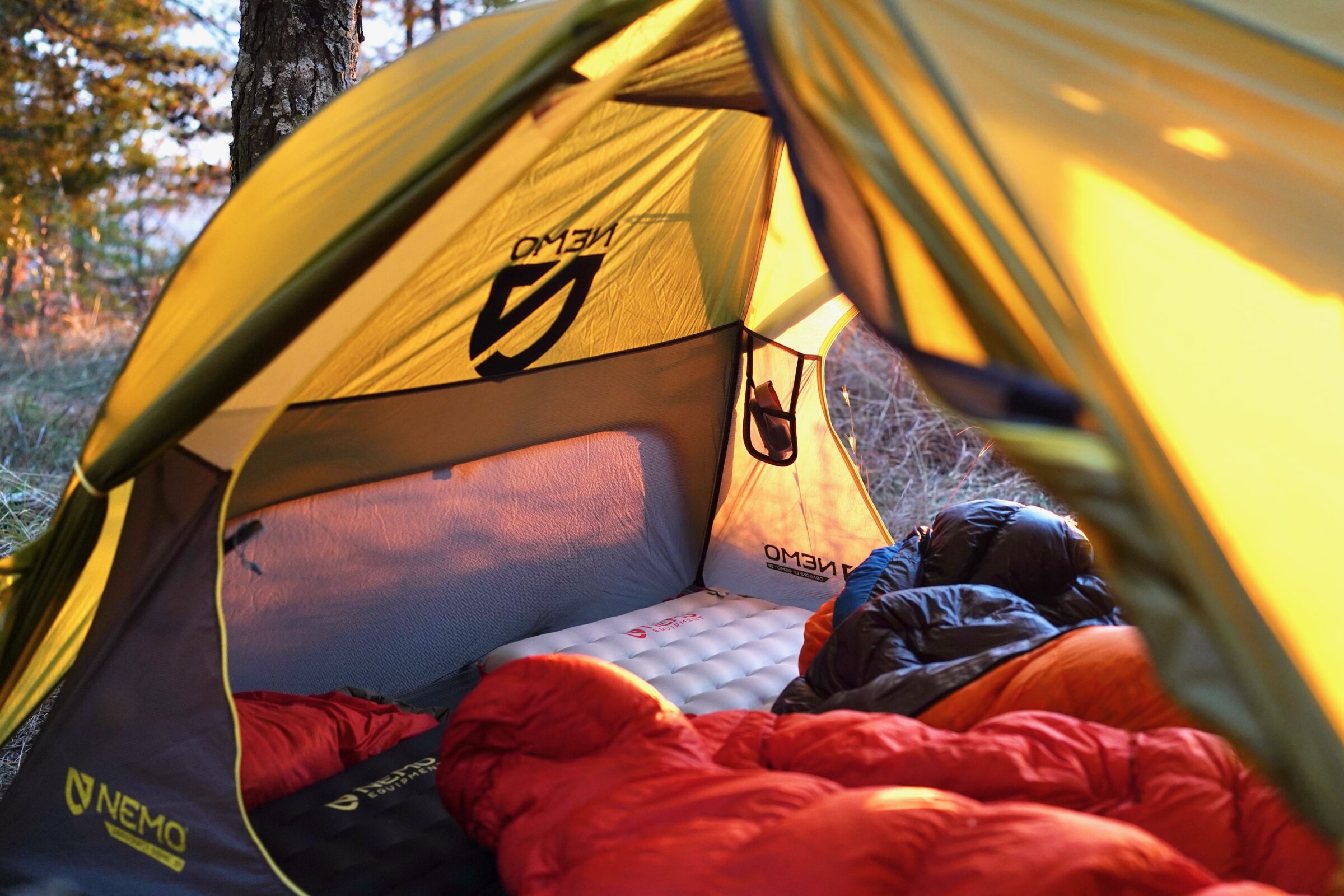 An interior view from inside a tent looking out, showing the mesh door and floor space.