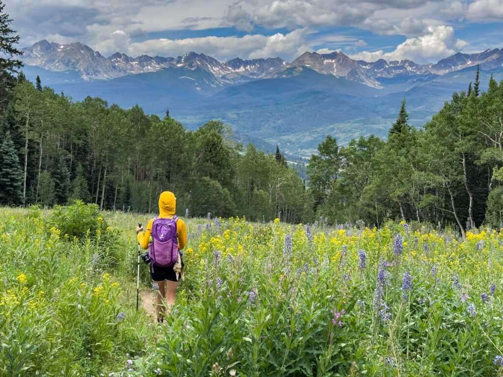 A hiker walking through a field of wildflowers with mountains in the background.