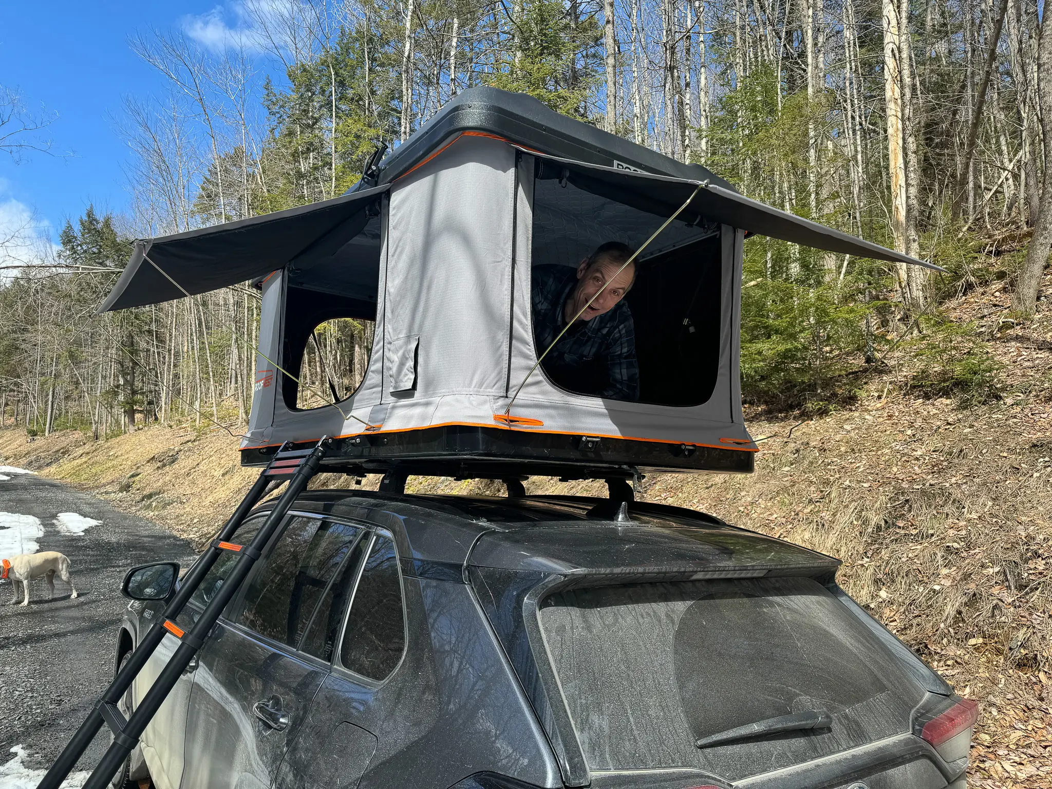 Detailed view of the gas-charged struts and shell hinge of a premium hardshell rooftop tent.