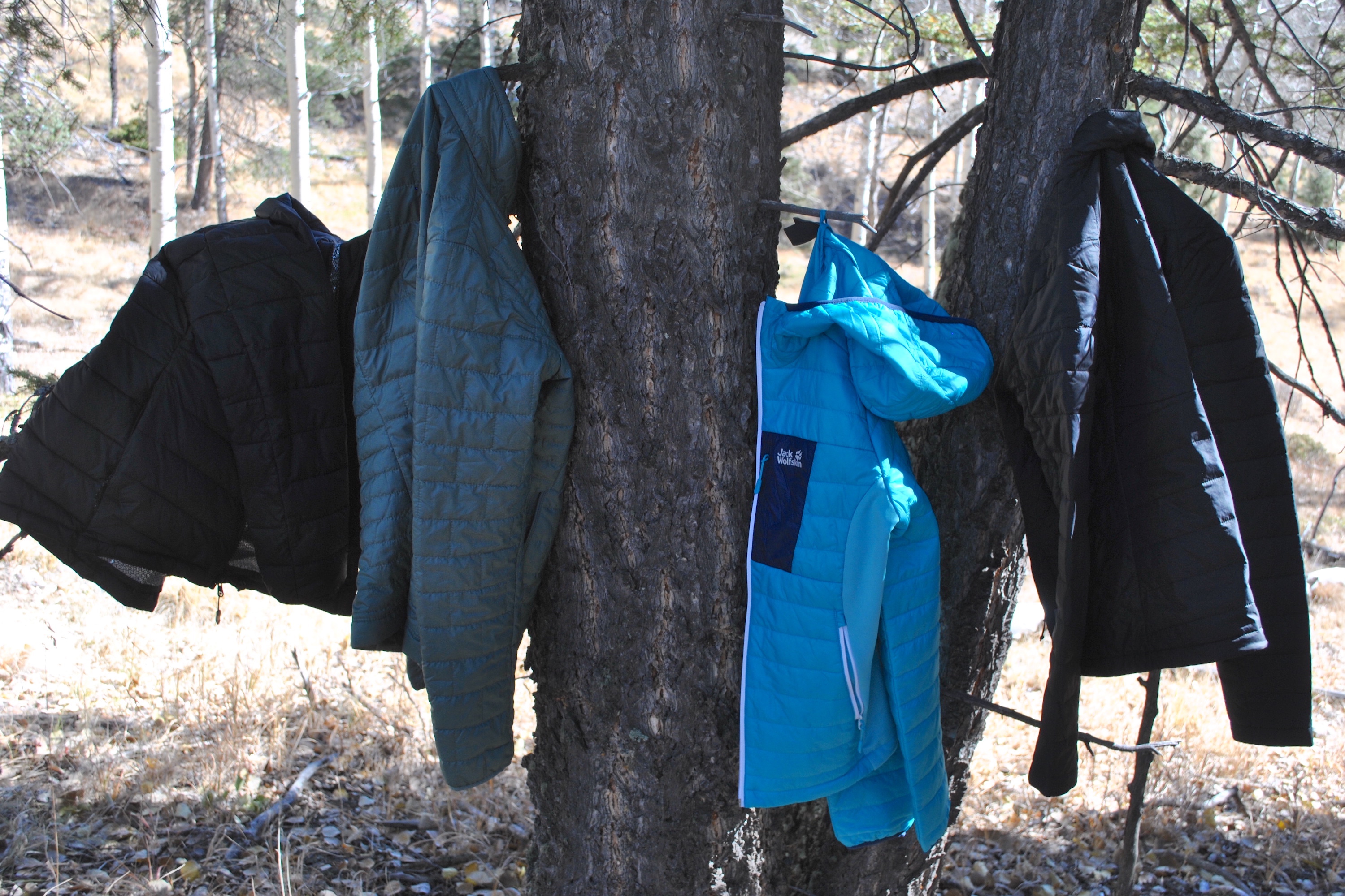 Several colorful midlayer jackets hanging on tree branches outdoors.