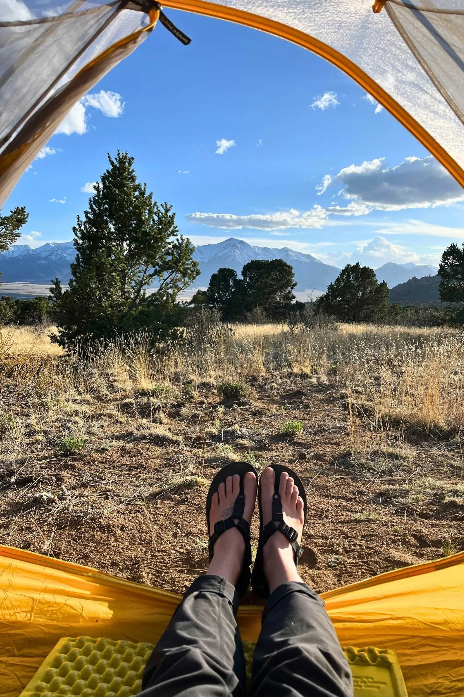 Bedrock Cairn sandals with durable straps resting on a wooden trail path.