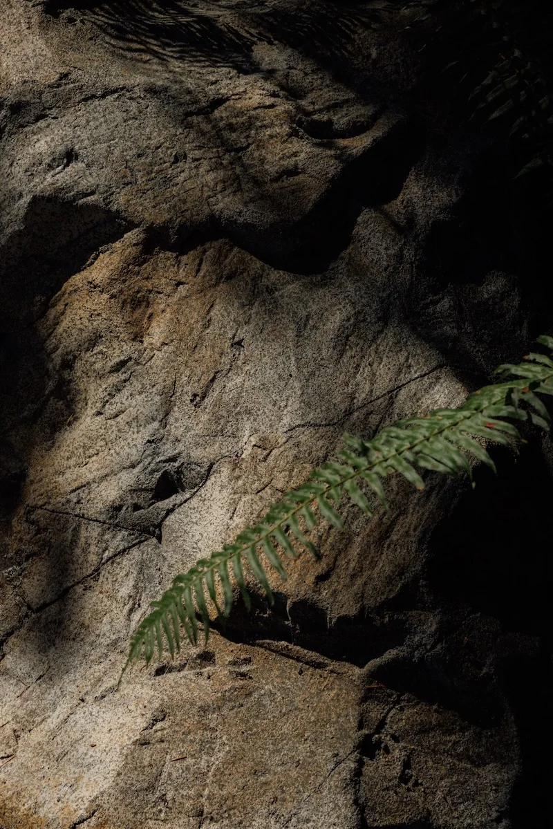 Macro detail of the hand-sculpted concrete surface mimicking natural stone texture.